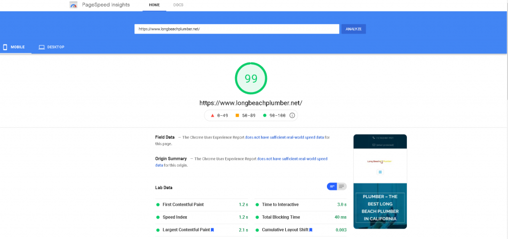 google page speed score